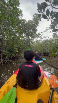 西表島 ADVENTURE PiPi（アドベンチャーピピ）に投稿された画像（2024/12/4）