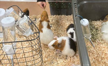 いきもの探検隊上尾に投稿された画像（2024/12/4）