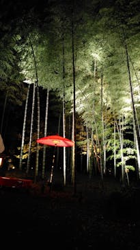 六義園に投稿された画像（2024/12/4）