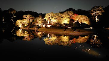 六義園に投稿された画像（2024/12/4）