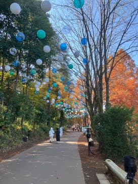 ムーミンバレーパークに投稿された画像（2024/12/4）