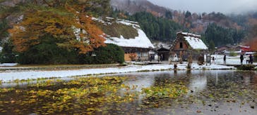 ホワイトリングに投稿された画像（2024/12/4）