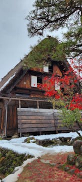 ホワイトリングに投稿された画像（2024/12/4）