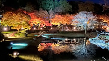 修善寺虹の郷に投稿された画像（2024/12/4）