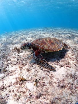 ちゃこたびに投稿された画像（2024/12/4）