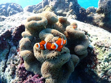 ちゃこたびに投稿された画像（2024/12/4）