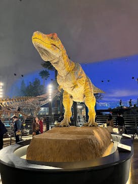 福井県立恐竜博物館に投稿された画像（2024/12/4）