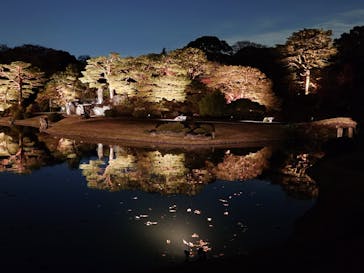 六義園に投稿された画像（2024/12/4）