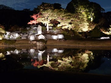 六義園に投稿された画像（2024/12/4）