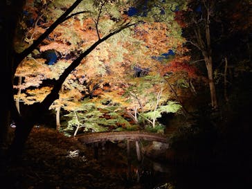 六義園に投稿された画像（2024/12/4）