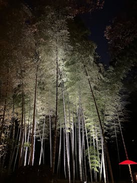 六義園に投稿された画像（2024/12/4）