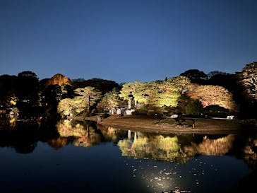 六義園に投稿された画像（2024/12/4）