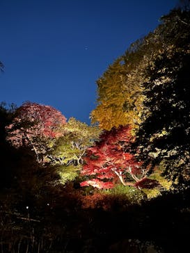 六義園に投稿された画像（2024/12/4）