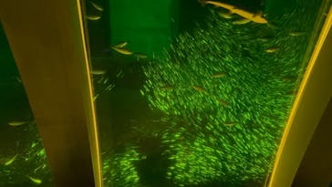 横浜・八景島シーパラダイスに投稿された画像（2024/12/4）