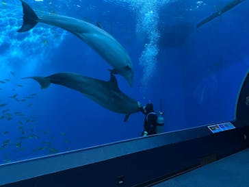 横浜・八景島シーパラダイスに投稿された画像（2024/12/4）