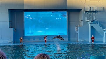 横浜・八景島シーパラダイスに投稿された画像（2024/12/4）