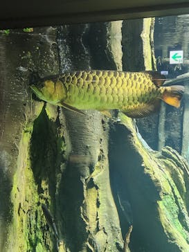 サンシャイン水族館に投稿された画像（2024/12/4）