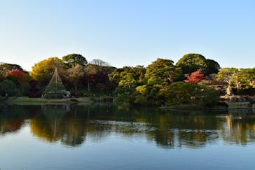 六義園に投稿された画像（2024/12/4）
