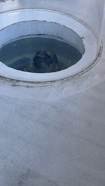 しながわ水族館に投稿された画像（2024/12/4）