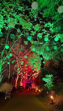 ムーミンバレーパークに投稿された画像（2024/12/4）