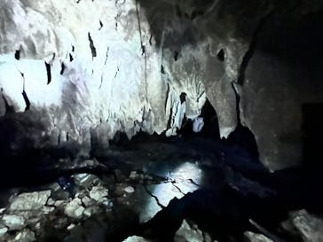 ウワーガージャングルに投稿された画像（2024/12/4）