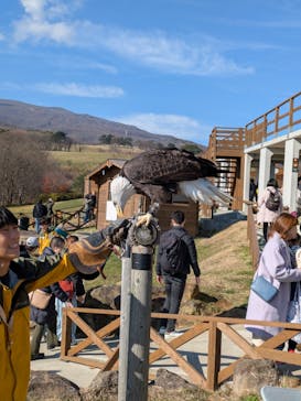 那須どうぶつ王国に投稿された画像（2024/12/4）