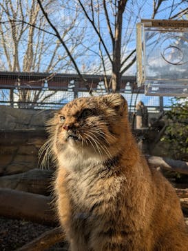 那須どうぶつ王国に投稿された画像（2024/12/4）