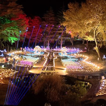 修善寺虹の郷に投稿された画像（2024/12/4）