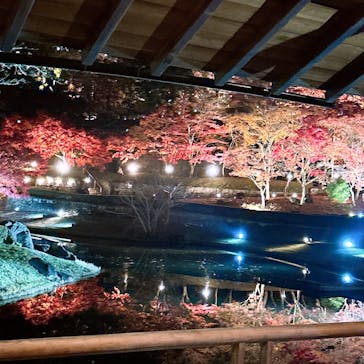 修善寺虹の郷に投稿された画像（2024/12/4）