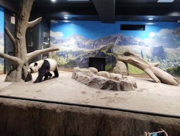 恩賜上野動物園に投稿された画像（2024/12/4）