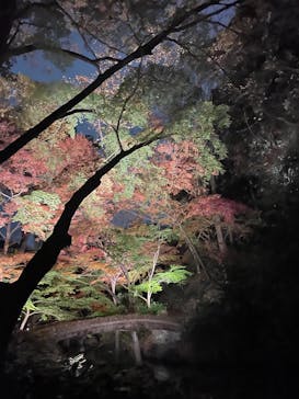 六義園に投稿された画像（2024/12/4）