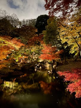 六義園に投稿された画像（2024/12/4）