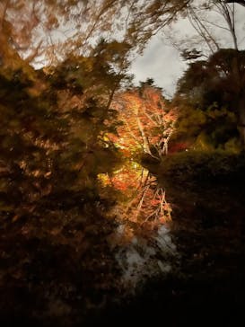 六義園に投稿された画像（2024/12/4）