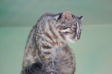 名古屋市東山動植物園に投稿された画像（2024/12/4）