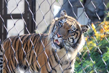 名古屋市東山動植物園に投稿された画像（2024/12/4）