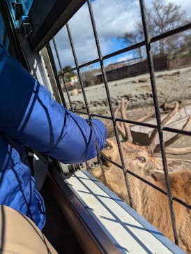 那須サファリパークに投稿された画像（2024/12/4）