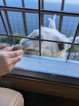 那須サファリパークに投稿された画像（2024/12/4）