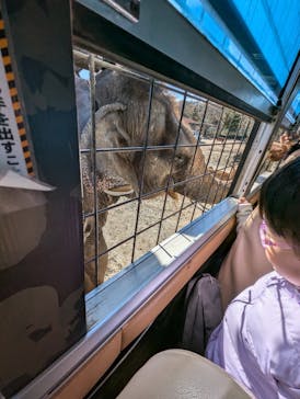 那須サファリパークに投稿された画像（2024/12/4）