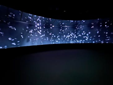 サンシャイン水族館に投稿された画像（2024/12/4）