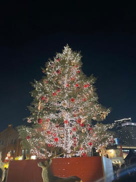 Christmas Market in 横浜赤レンガ倉庫 2025に投稿された画像（2024/12/4）