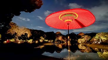 六義園に投稿された画像（2024/12/4）