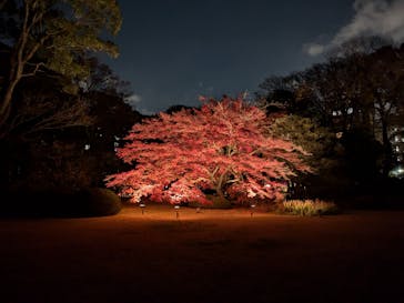 六義園に投稿された画像（2024/12/4）