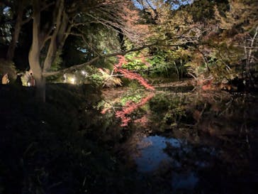 六義園に投稿された画像（2024/12/4）