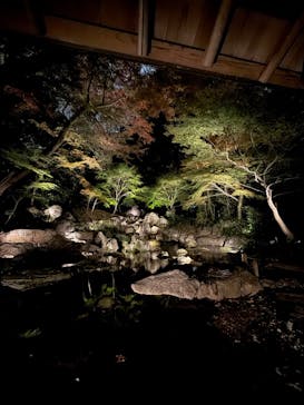 六義園に投稿された画像（2024/12/4）