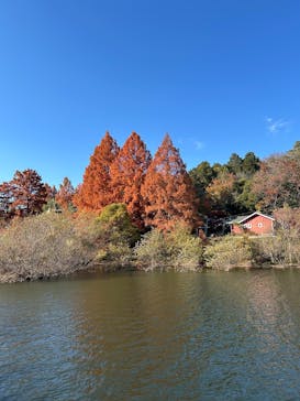 ムーミンバレーパークに投稿された画像（2024/12/4）