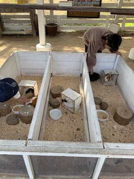 NESTA RESORT KOBE（ネスタリゾート神戸）に投稿された画像（2024/12/4）