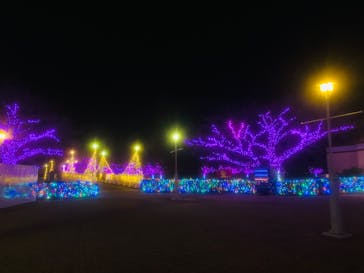 東武動物公園に投稿された画像（2024/12/5）