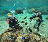 沖縄マリンサービス碧に投稿された画像（2024/12/5）