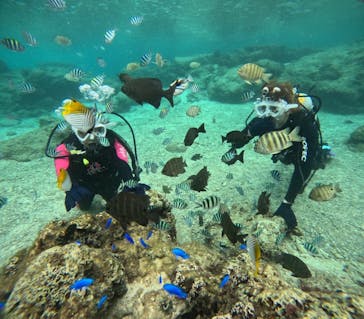 沖縄マリンサービス碧に投稿された画像（2024/12/5）