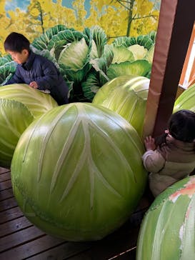 鈴鹿サーキットに投稿された画像（2024/12/5）